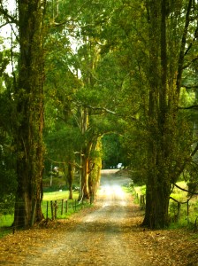 Casa Pallotti Autumn